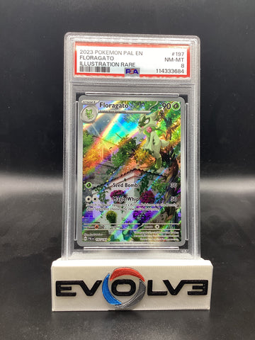 Floragato (197/193) [Pokemon Scarlet & Violet: Paldea Evolved] PSA 8