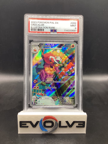 Crocalor (202/193) [Pokemon Scarlet & Violet: Paldea Evolved] PSA 9