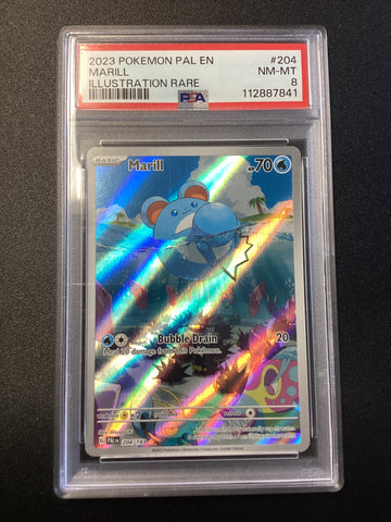 Marill (204/193) [Pokemon Scarlet & Violet: Paldea Evolved] PSA 8