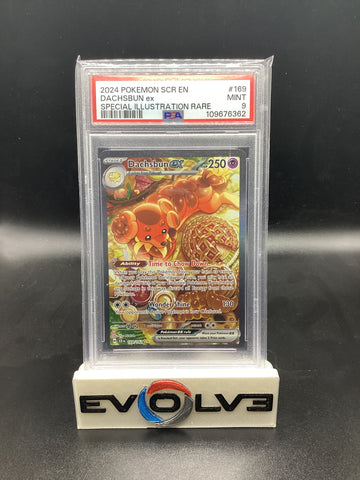 Dachsbun ex (169/142) [Pokemon Scarlet & Violet: Stellar Crown] PSA 9
