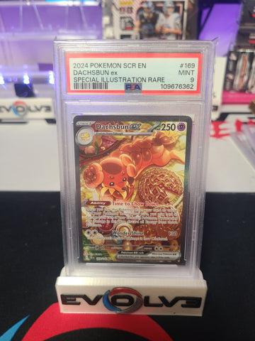 2024 scr dachsbun ex sir psa 9