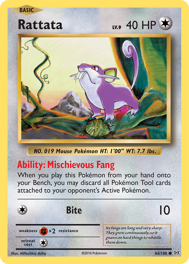 Rattata (66/108) [XY: Evolutions]